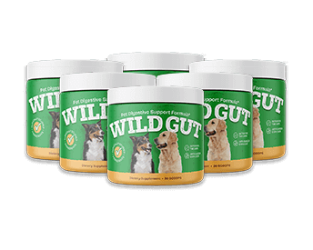 Buy WildGut Supplements
